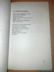 BLAİSE CENDRARS : BÜTÜN ŞİİRLERİNDEN SEÇMELER / GÜL İBAY / KAVRAM YAYINLARI / TÜRKÇE KİTAP