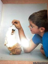 MEERSCHWEİNCHEN RİCHTİG PFLEGEN UND VERSTEHEN / KATRİN BEHREND / GRAFE UND UNZER / ALMANCA KİTAP (GİNE DOMUZLARINA DOĞRU BAKIM VE ANLAMAK)