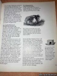 MEERSCHWEİNCHEN RİCHTİG PFLEGEN UND VERSTEHEN / KATRİN BEHREND / GRAFE UND UNZER / ALMANCA KİTAP (GİNE DOMUZLARINA DOĞRU BAKIM VE ANLAMAK)