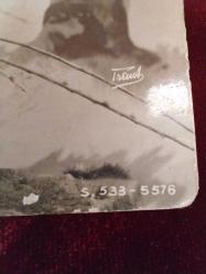KARTPOSTAL,1917 ORMANDA KIZ VE KUZU TEMALI 460