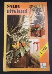 Salon Bitkileri