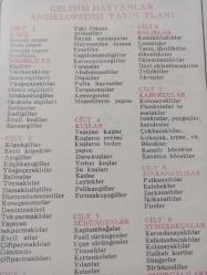 31 Mart 1984 - Sarı Kart gören futbolcular - Erhan (Kocaeli) - Engin ve Cenk (Fenerbahçe) - Kenan (Bolu) - Nezihi ve K.Turgay (Sakarya) - Alaattin ve Cemil (Antalya) haberi - Islak kalemle a4 kağıdına yazılmış bilgi notu - Tek Yaprak Arkalı Önlüdür