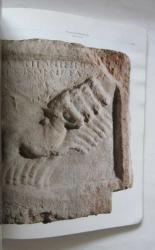 Doğada Güç Birlikteliği, İnsan ve At Sergisi