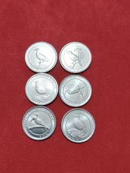 Efemera - 2020 Kuş serisi hatıra para - kitantik - kitaLog