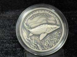 2021 Darphane Türkiye’ye Özgü Balıklar Serisi: Mersin Balığı Gümüş Hatıra Parası