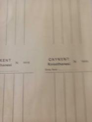 2 Nisan 1984 - Dünya çamur güreşi şampiyonu! - İngiliz Carol Amerikalı rakibini yenerek dünya şampiyonu olurken maçı idare eden hakem de çamur içinde kaldı - Gazete haberi - Tek Yaprak Arkalı Önlüdür