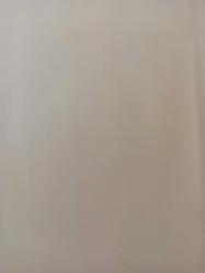 5 Nisan 1984 - Kenan Evren'in ilgisine seyircinin sevgisine basının desteğine layık olamadılar - Gazete haberi - Tek Yaprak Arkalı Önlüdür