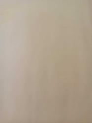 9 Nisan 1984 - Beşiktaş rotayı kaybetti - Bursaspor Arif'in golü ile maçı kazanırken, 2. yarıda canlanan rakibine şans tanımadı: 1-0 - Yasak futbol - Güngör Sayarı - Gazete haberi - Tek Yaprak Arkalı Önlüdür