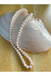 İnci Gerdanlık Gümüş Kolye