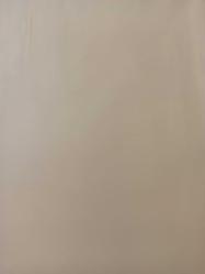 17 Nisan 1984 - Futbolumuz araba dağıtıyor... - Galatasaraylı Fatih Terim, tedbirsiz olarak ceza kuruluna verildi - Jules Rimet Kupası'nın yenisi yerine kondu - En güçlü aday - Dünyada neler oluyor - Gazete haberi - Tek Yaprak Arkalı Önlüdür