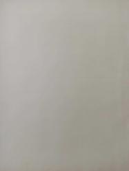 15 Mart 1984 - Triatlon - Dört saat yarışıp sonunda komaya giriyorlar - Amerika'da yapılan 4 saat süreli bu yarışma üç daldan oluşuyor: 1. Bir buçuk saat dalgalı denizde yüzme 2. 100 kilometrelik bisiklet turu 3. 42 kilometrelik yürüyüş - Gazete haberi - Tek Yaprak Arkalı Önlüdür