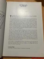 SPARKLES FROM THE DEEP / AYNUR ÖZET / GLASS VESSELS OF THE BODRUM MUSEUM OF UNDERWATER ARCHAEOLOGY / BERİCAP KAPAK SANAYİ / İNGİLİZCE KİTAP (DERİNLİKLERDEN PARILTILAR / BODRUM SU ALTI ARKEOLOJİSİ MÜZESİ'NİN CAM KAPLARI)