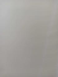 17 Mart 1984 - Slalomda birinci olan atom kayakçının en büyük yardımcısı annesi. Her yıl Uludağ'da kayak yapmak için gelen ailede herkes kayak biliyor. Murat Telli hem Karadam 84'ün maskotu hem de miniklerde en başarılı sporcu seçildi - Gazete haberi - Tek Yaprak Arkalı Önlüdür