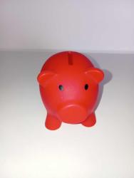 Aliup pharma domuz kumbara