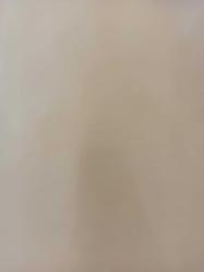 13 Haziran 1981 - İngiliz Teknik Direktörü Brian Birch'ün iddiası - ''Şampiyon takım İstanbul'dan çıkacak'' - Bir yılda 906 sporcu ceza aldı - Sarıyer de törenle sezonu açtı - Gazete haberi - Tek Yaprak Arkalı Önlüdür