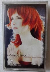 ŞEBNEM FERAH / Artık kısa cümleler kuruyorum