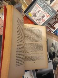 pöllenberg mirası - evelyn anthony