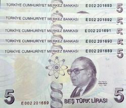9. EMİSON 5 LİRA SERİ TAKİPLİ 5'Lİ LOT  ÇİL RESİMDEKİ ÜRÜN GÖNDERİLECEKTİR (X-31)