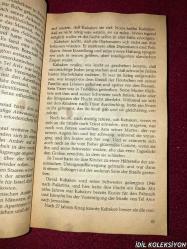 THOMAS HARRIS / SCHWARZER SONNTAG / WILHELM HEYNE VERLAG / ALMANCA KİTAP (KARA PAZAR) HAFİF YIPRANMA VE LEKELER MEVCUT