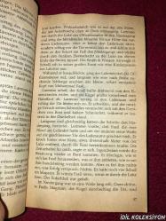 THOMAS HARRIS / SCHWARZER SONNTAG / WILHELM HEYNE VERLAG / ALMANCA KİTAP (KARA PAZAR) HAFİF YIPRANMA VE LEKELER MEVCUT