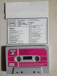 GRUP GÜNEŞ 2063 EVLİMİ BEKARMISIN TÜRKÜLA ALMAN BASKI