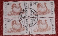 BULGARİSTAN  18.Ocak.1991  ÇİFTLİK HAYVANLARI TAM SERİ 4'LÜ BLOK YIKANMAMIŞ GÖBEK DAMGALI