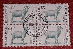 BULGARİSTAN  18.Ocak.1991  ÇİFTLİK HAYVANLARI TAM SERİ 4'LÜ BLOK YIKANMAMIŞ GÖBEK DAMGALI