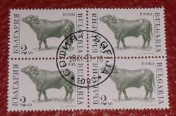 BULGARİSTAN  18.Ocak.1991  ÇİFTLİK HAYVANLARI TAM SERİ 4'LÜ BLOK YIKANMAMIŞ GÖBEK DAMGALI