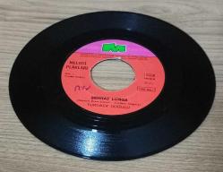 YURDAER DOĞULU-ELVADA MEYHANECİ