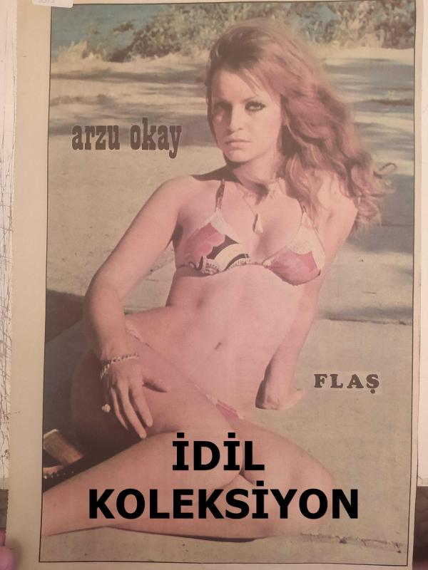 Emi Reid bilan uy qurilishi porno