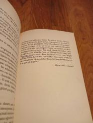 Mutsuz Aşk Hikayeleri - Alain de Botton'un Özsözüyle