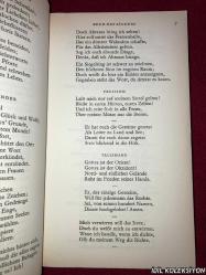 DER WEST ÖSTLİCHE DİVAN / JOHANN WOLFGANG GOETHE / DEUTSCHER TASCHENBUCH VERLAG / ALMANCA KİTAP (BATI DOĞU DİVANI)