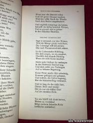 DER WEST ÖSTLİCHE DİVAN / JOHANN WOLFGANG GOETHE / DEUTSCHER TASCHENBUCH VERLAG / ALMANCA KİTAP (BATI DOĞU DİVANI)