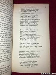 DER WEST ÖSTLİCHE DİVAN / JOHANN WOLFGANG GOETHE / DEUTSCHER TASCHENBUCH VERLAG / ALMANCA KİTAP (BATI DOĞU DİVANI)