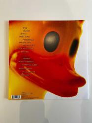 Nirvana - Incesticide (20th Anniversary - 45RPM Edition) (Plak)