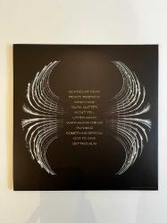 Pearl Jam - Dark Matter (Plak)