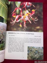 TROPICAL TREES : FOUND İN THE CARİBBEAN , SOUTH AMERİCA , CENTRAL AMERİCA , FLORİDA , MEXİCO / DOROTHY & BOB HARGREAVES / ROSS-HARGREAVES / İNGİLİZCE KİTAP (TROPİKAL AĞAÇLAR)