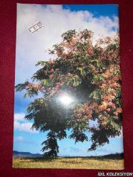 TROPICAL TREES : FOUND İN THE CARİBBEAN , SOUTH AMERİCA , CENTRAL AMERİCA , FLORİDA , MEXİCO / DOROTHY & BOB HARGREAVES / ROSS-HARGREAVES / İNGİLİZCE KİTAP (TROPİKAL AĞAÇLAR)