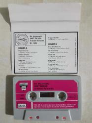 ÜMİT BESEN 1895 BİR AKŞAM ÜSTÜ TÜRKÜLA  ALMAN BASKI