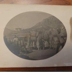 abdülhamit han şehzadeleri ve padişah foto kartları, cephe askerler..