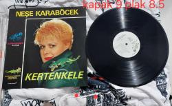 Neşe karaböcek kertenkele lp plak