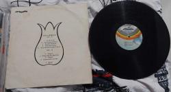 Neşe karaböcek uğur böceği farklı dönem baskı nadir plak lp