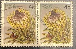 Güney Afrika Pulu - South Africa Stamp - Mektup Zarfından Kesilmiş  / Postadan Geçmiş İkili Pul Filateli - Damgalı - ÇİÇEK TEMALI GÜNEY AFRİKA PULU 1977, 4 PARA - YABANCI PULLAR - NOSTALJİK DOĞUM GÜNÜ HEDİYESİ