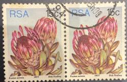 Güney Afrika Pulu - South Africa Stamp - Mektup Zarfından Kesilmiş  / Postadan Geçmiş İkili Pul Filateli - Damgalı - ÇİÇEK TEMALI GÜNEY AFRİKA PULU 1977, 15 PARA - YABANCI PULLAR - NOSTALJİK DOĞUM GÜNÜ HEDİYESİ