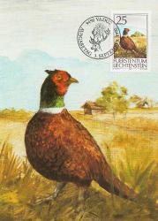 1990  Liechtenstein  Maxikart 3'lü set