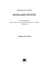 RENKLERİN BÜYÜSÜ