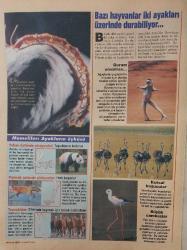 MİLLİYET GAZETESİ-MİLLİYET FİESTA PAZAR DERGİSİ-FİESTA-DERGİ-PAZAR-EK-20 MART-1994-SAYI:35-KAPAK-FOTOĞRAF-RÖPORTAJ-YAŞAMDAN ÖLÜME TUTKU-DÜNDEN BUGÜNE REKLAM-SANATI PARALAYAN GÜZELLER KIM-HASA PULUR-DARBE RÜZGARI-NÜKHET DURU BEN TATLI BİR KAÇIĞIM-SOSYETE-HAZIRCEVAP-SABUN KÖPÜĞÜ-BİLİM-SPOR DÜNYASI-SİNEMA-DÜNYA-HABERLER-ARAŞTIRMA-PAZAR KEYFİ-HASAN PULUR-DARBE-RÜZGAR-TUTKU-DÜNDEN BUGÜNE-REKLAM-NÜKHET DURU-TATLI-KAÇIK-PRENSES DİANA-ARNOLD SCHWARZENEGGER-CLAUDİA SCHİFFER-SANAT-PINAR ELİÇE-İLKNUR BOZKURT-MAİDE ERÇELEBİ-SERAP AKINCIOĞLU-GÜLBEN ERGEN-DEMET AKALIN-SAMRA SÖKMEN-ŞEBNEM DÖNMEZ-VENEDİK FİLM FESTİVALİ-ROBERT ALTMAN-ALTIN KÜRE-JACL LEMMON-PAMUKKALE*HARİKA-TRAVERTENLER-ÇİN-HALK-HEKİM-HARİKA AVCI-EBRU GÜNDEŞ-ATİLLA SARAL-SİBEL BARIŞ-FATİH ÜREK-AYSU BAŞAR-ERCAN SAATÇİ-HÜLYA AVŞAR-REKLAMCILARIN GÖRÜŞÜ-İNCE VÜCUTLAR-DALI'DEN ÇİZGİLER-TEX AVERY KITAPÇILARDA