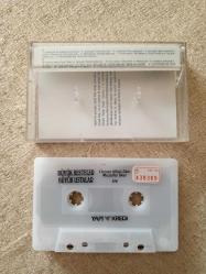 Büyük Besteler Büyük Ustalar Osman Nihat Akın - Muzaffer İlkar