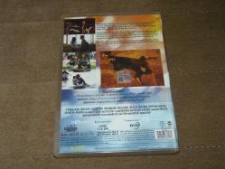 DELİBAL - ÇAĞATAY ULUSOY - SIFIR AYARINDA ÇOK TEMİZ DVD FİLMDİR