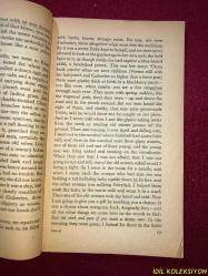 THE GRASS HARP / TRUMAN CAPOTE / PENGUİN BOOKS / İNGİLİZCE KİTAP (ÇİM ARP)